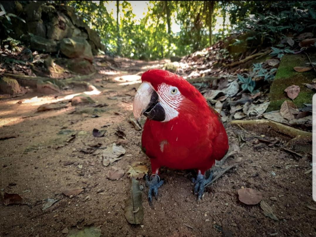 Recanto Da Gipoia Angra dos Reis Zewnętrze zdjęcie